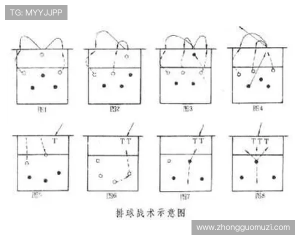 北京排球队战术实力分析排球战术排行榜揭示第七名的背后故事